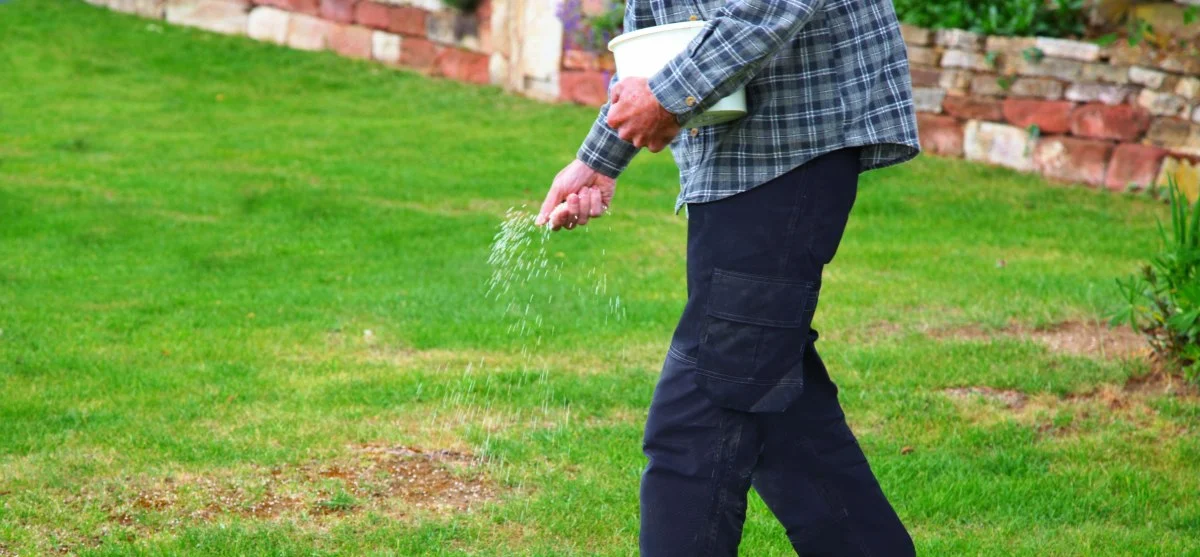 Man fertilizing lawn