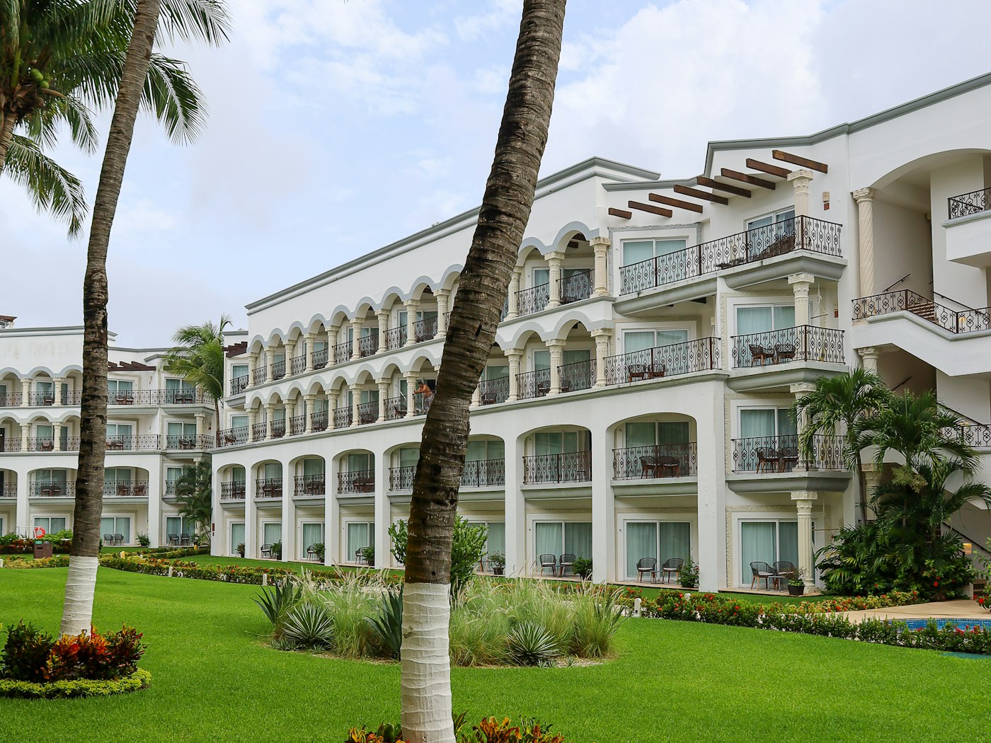 Healthy commercial lawn and shrubs