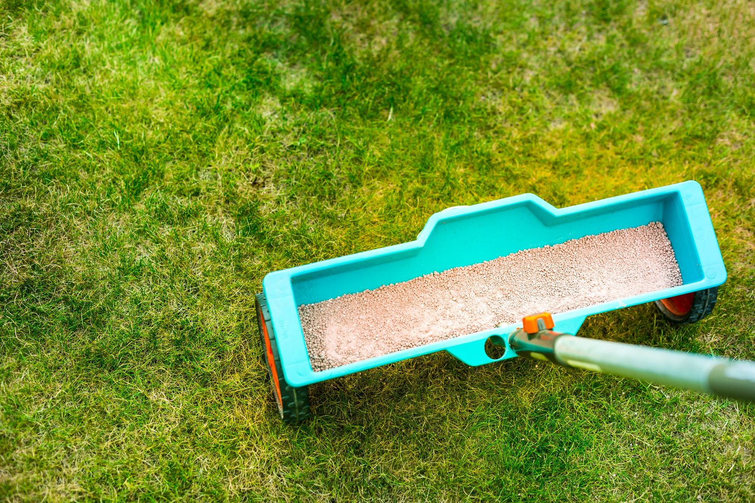 Lush, healthy green lawn after professional fertilization treatment