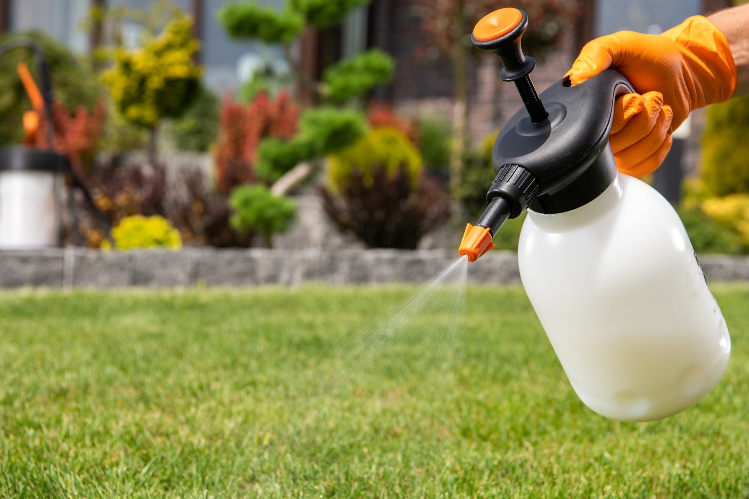 Healthy green turf grass protected with professional turf pest control treatments