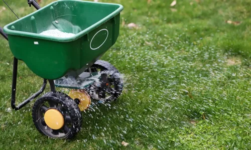 Canvas Lawn & Shrub Care