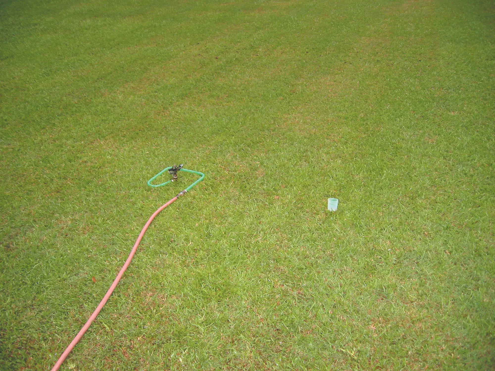 Watering lawn with sprinkler