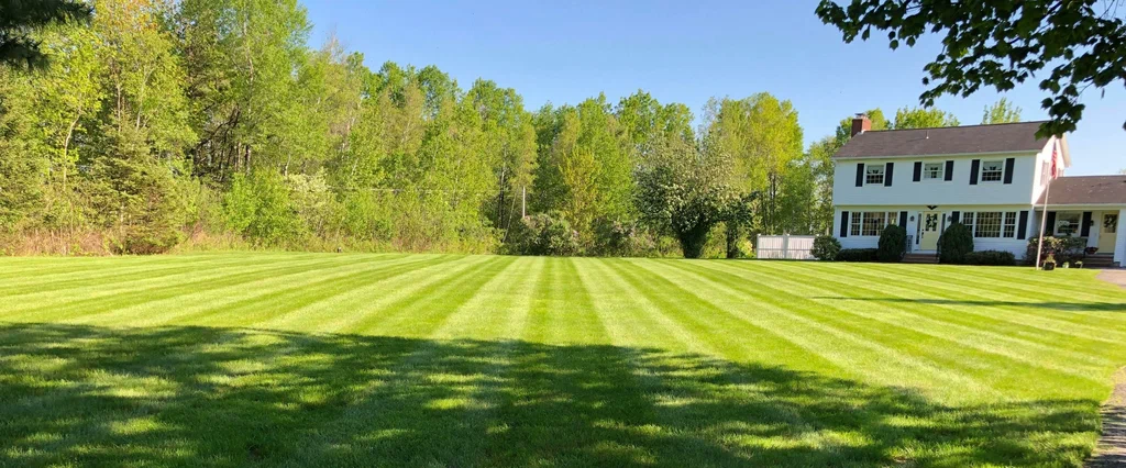 lawn care coastal mississippi