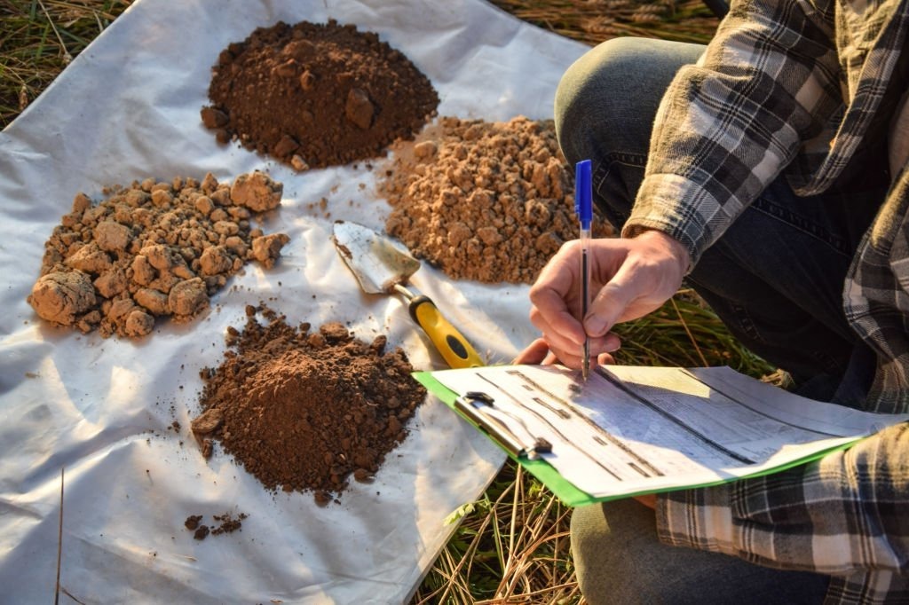 Healthy lawn soil